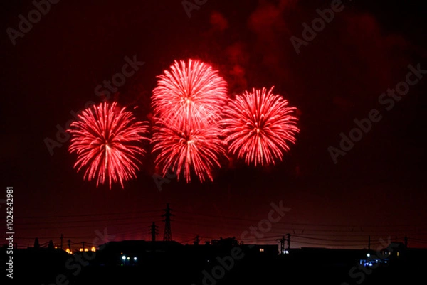 Fototapeta 音楽花火