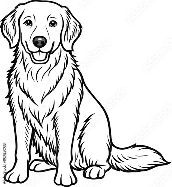 Obraz golden retriever dog