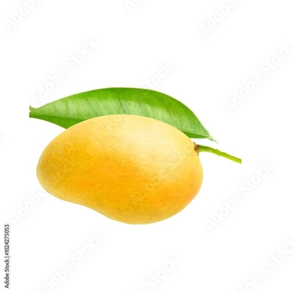 Fototapeta Mango fruit food lemon isolated