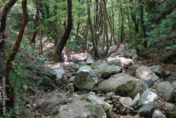 Fototapeta The path of the centaurs (after Cyclone Daniel) Portaria Pelion Greece