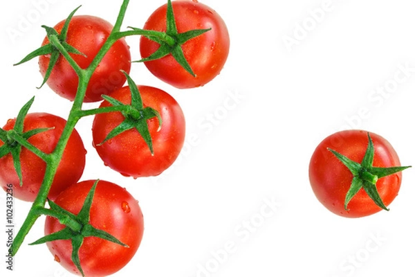 Obraz Cherry tomatoes isolated on white background.