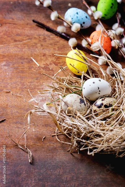 Obraz Easter decoration with quail eggs