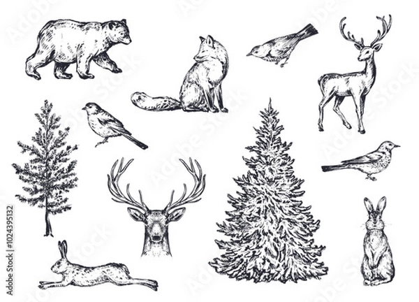 Fototapeta Vector set of winter forest animals and trees. Vintage collection.