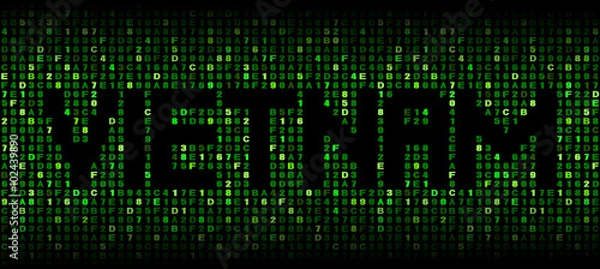 Obraz Vietnam text on hex code illustration