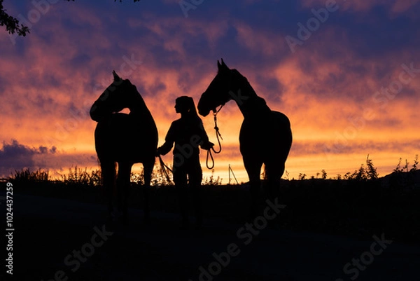 Fototapeta Silhouette eine junge Frau führt zwei Pferde am Halfter nach Hause in einer wunderschönen Abendämmerung in einem Feuer Orange Lila Himmel mit Wolken an einem ruhigen Sommerabend