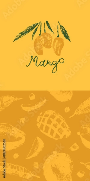 Fototapeta Template tropical fruits label design with vector mango pattern. Tropical fruit drawings. Color sketches of organic mangoes. Exotic fruit ornament. Mangos banner background.