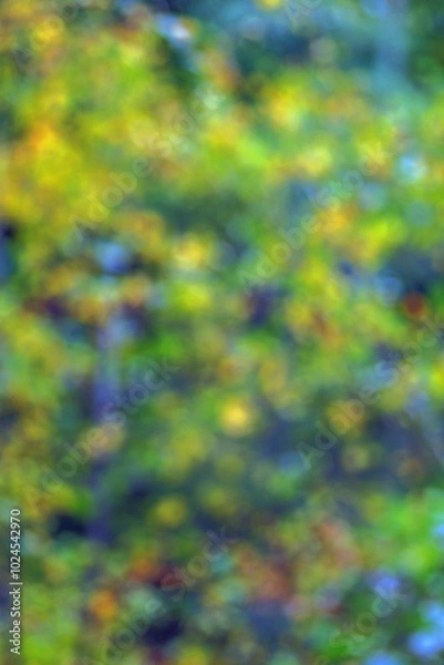 Obraz abstract colorful background