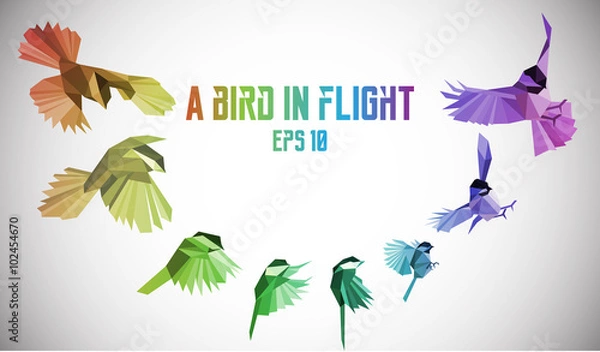 Fototapeta Rainbow bird in motion. Low-poly