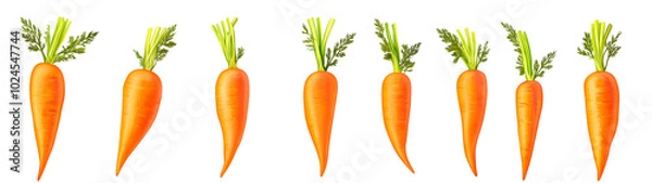 Fototapeta Carrot vegetable