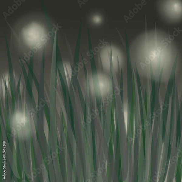 Fototapeta nature grass sky fireflies background