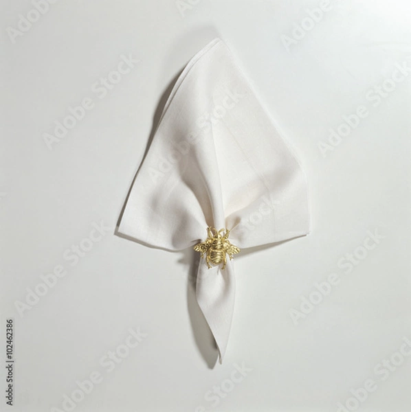 Fototapeta Napkin and ring