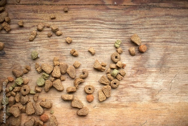 Obraz dry food for pets