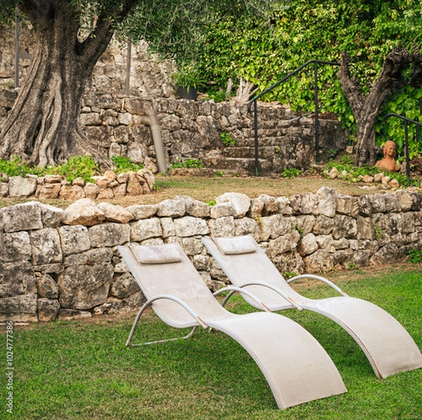 Obraz Two modern sun beds in french garden, with a big tree and stone walls
