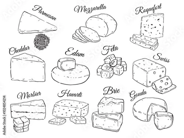 Fototapeta Collection of various kind of cheese hand drawn outline drawing vector food illustration set3