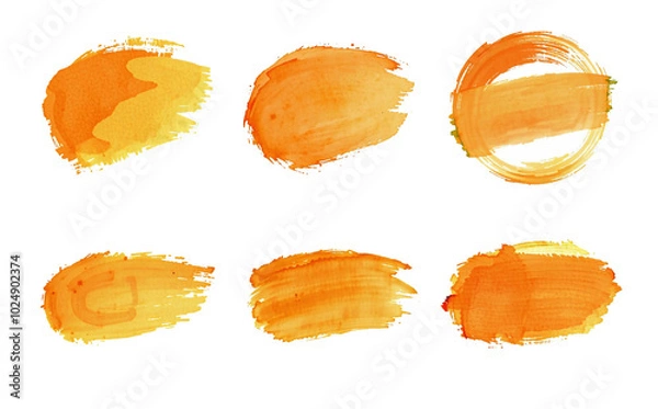 Fototapeta orange brush stroke set, oval and thought bubble, isolated composition, stylized paint