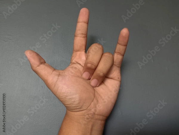 Fototapeta Hand Gesture Showing Sign Language Symbol for 'I Love You'