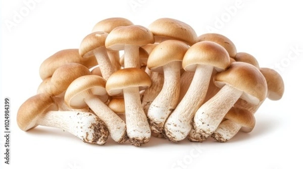 Obraz Brown beech mushrooms, delicately clustered and isolated on a white background, perfect for natural food photography