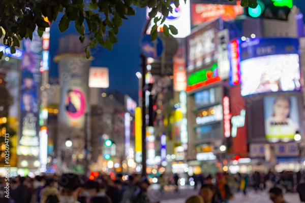 Obraz 東京都　渋谷　夜景