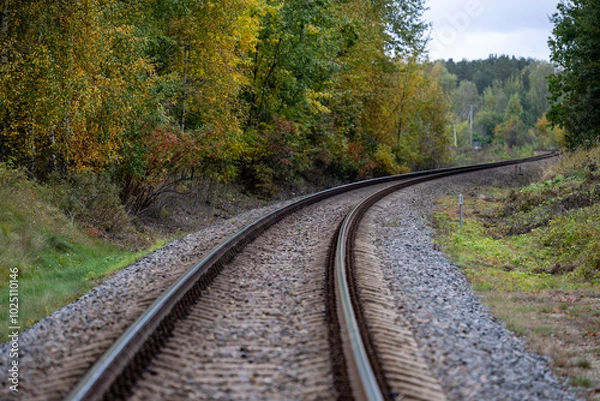 Fototapeta Railway tracks curve through the autumn forest