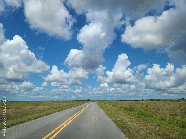 Obraz Open Road in the Florida Everglades
