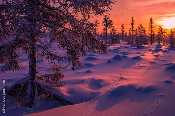 Obraz Winter landscape with forest, cloudy sky and sun 