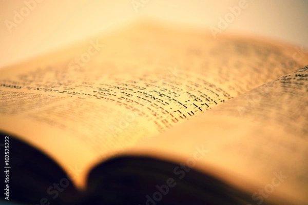 Obraz nice old jewish book
