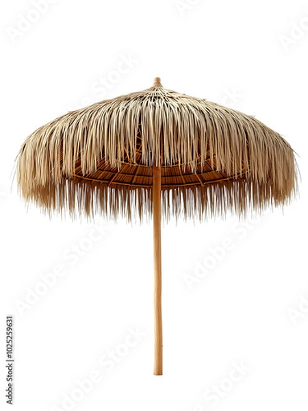 Obraz umbrella isolated on white