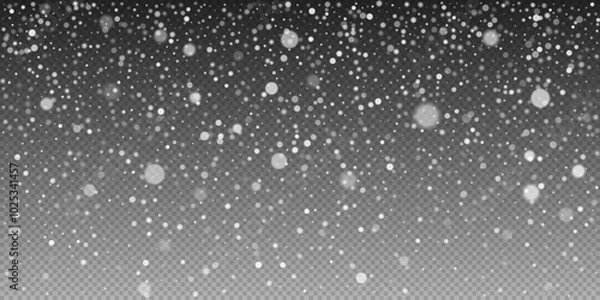 Obraz Vector winter flurry with snowflakes swirling. Delicate snow crystals forming a natural winter scene. Transparent snow overlay for Christmas cards, posters, decorations, and festive and banners.