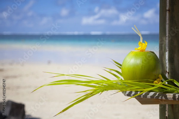 Fototapeta Kokos na plaży Mauritiusa.