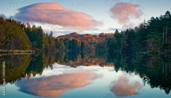 Obraz Tarn Hows early moring reflection