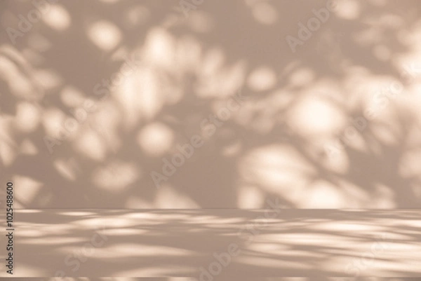 Fototapeta Wall interior background, studio and backdrops show products. with leaf shadow from window color beige and white. background for text insertion and presentation of product	