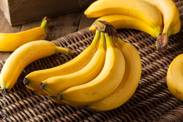 Obraz Surowa grupa bananów