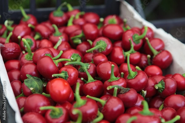 Obraz Cherry chilli peppers