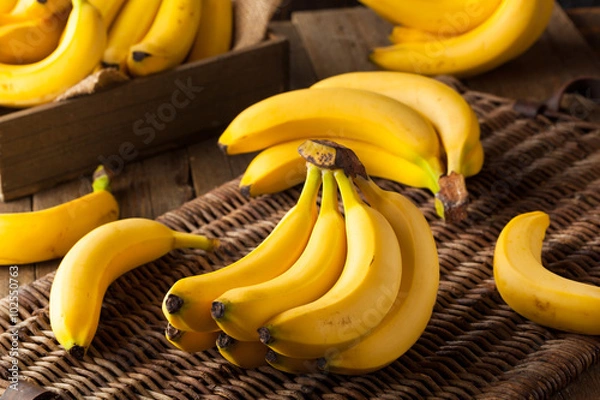 Obraz Surowe organiczne kiść bananów