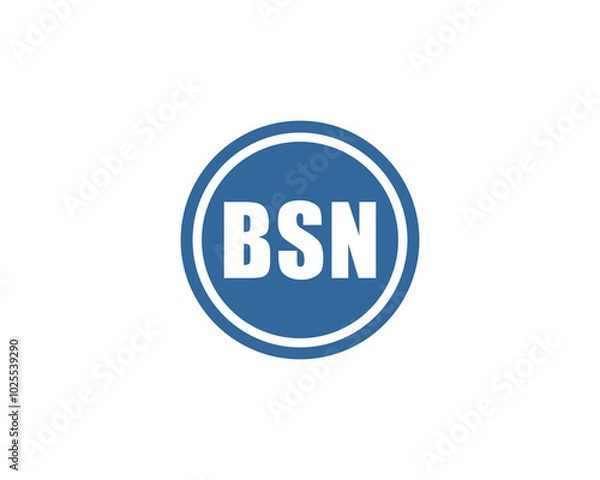 Fototapeta BSN logo design vector template. BSN