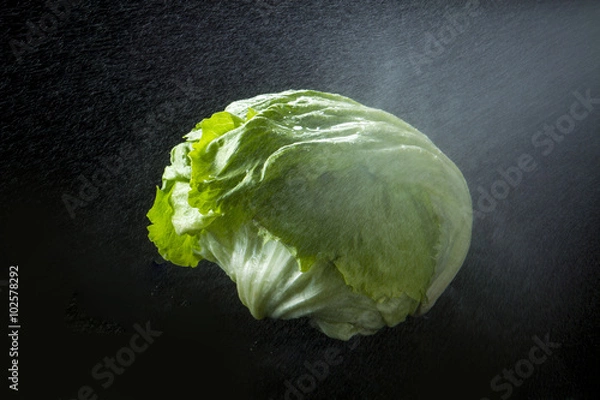 Fototapeta レタス　水しぶき
