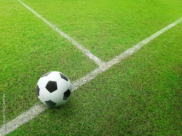 Fototapeta Soccer line in green grass of soccer field