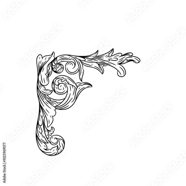 Fototapeta Decorative scrollwork illustration