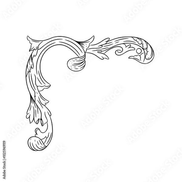 Obraz Decorative baroque or scroll illustration