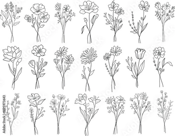 Fototapeta Set of different line art flower bouquets. Hand drawn botanical vector set. Trendy floral wildflowers, leaves set.