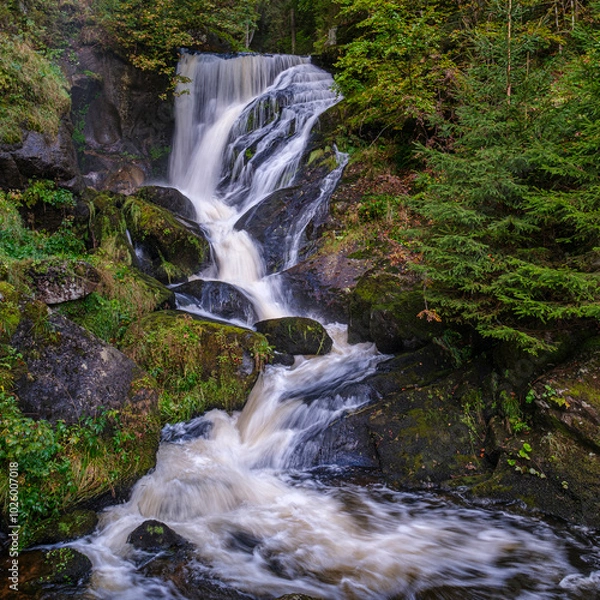 Obraz Triberger Wasserfall, Schwarzwald