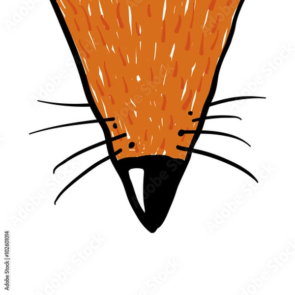 Obraz nose of red fox