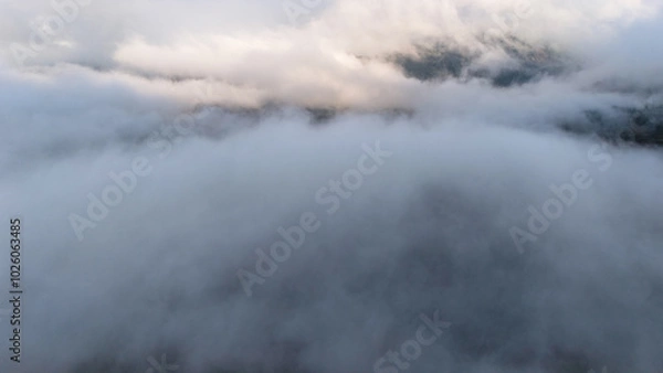 Fototapeta fog in the mountains