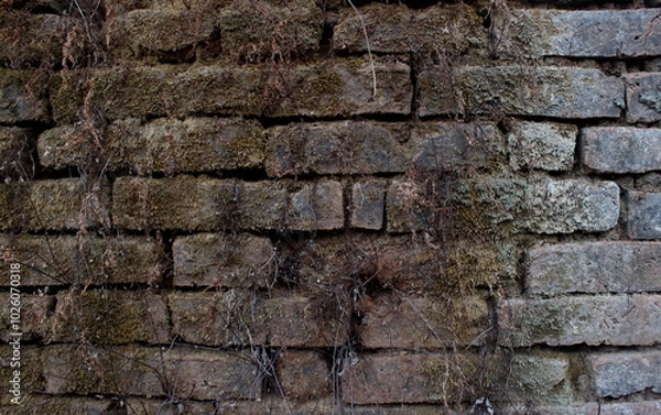Obraz Rustic Moss-Covered Brick Wall with Natural Decay