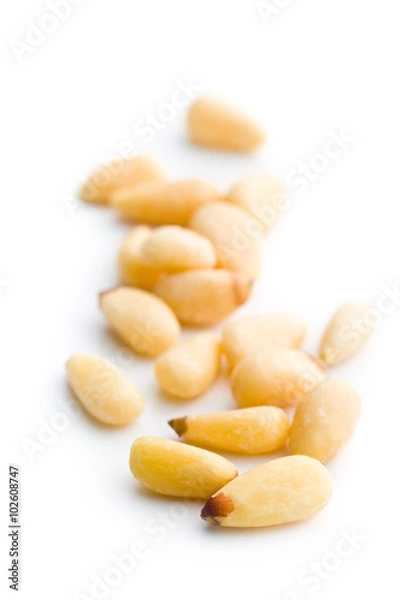 Obraz pine nuts