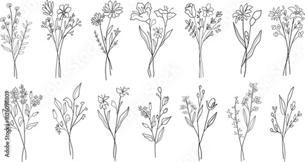 Obraz Set of different line art wildflower bouquets. Hand drawn botanical vector set. Trendy floral illustration set of wildflower.