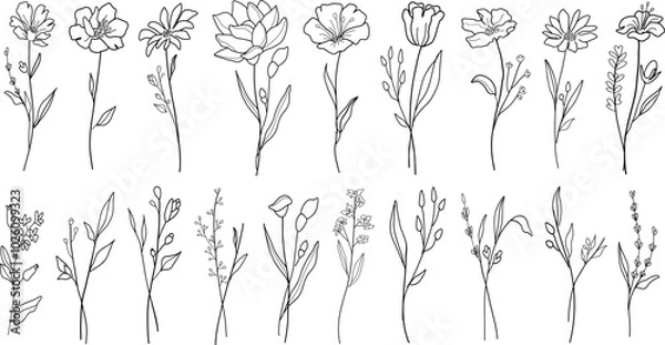 Fototapeta Set of different line art flowers. Hand drawn botanical vector set. Trendy floral wildflowers, leaves set.