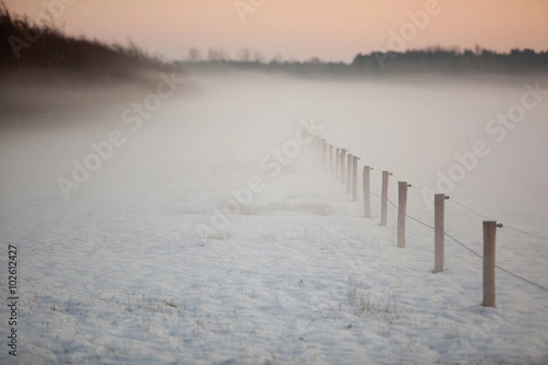 Fototapeta a winter scenery during sunset where a snow covered farm field with trees in the background are surrounded by mist under a golden sky. A fence is disappearing into the dense fog.
