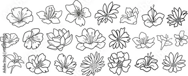 Fototapeta Set of different line art flowers. Hand drawn botanical vector set. Trendy floral wildflowers set.