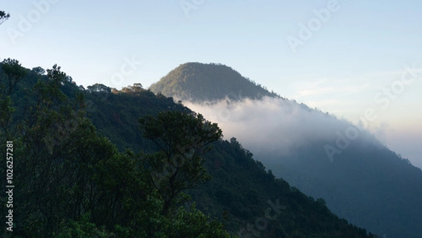 Fototapeta beautiful view of the Papandayan mountain forest area along with blue skies and clouds, Garut, Indonesia
